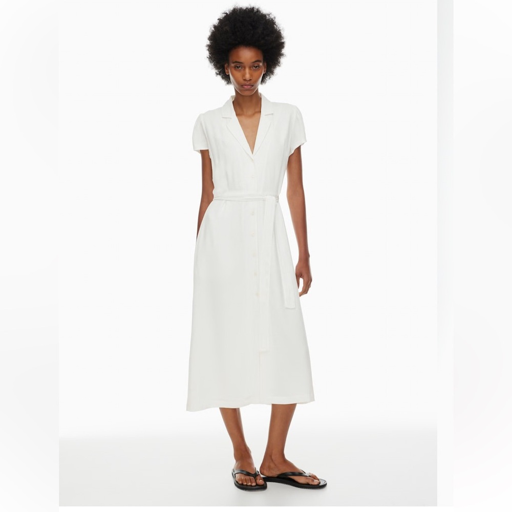 Aritzia dress (only wore once)